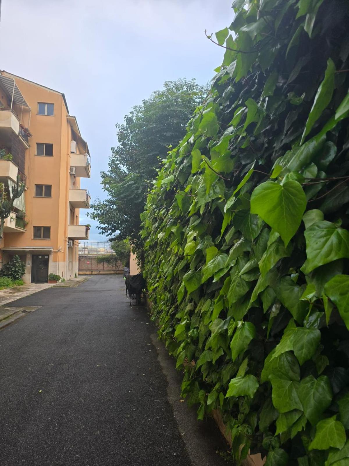 New Biancaapartment Appartamento Roma